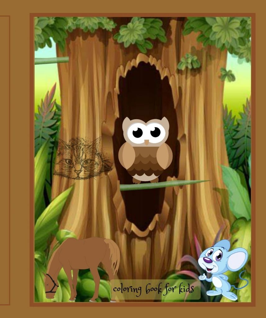 Animals, Their homes and habitats